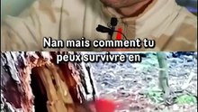 Il faut qu’on parle de cet oiseau…