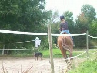 Cours avec Géraldine 041