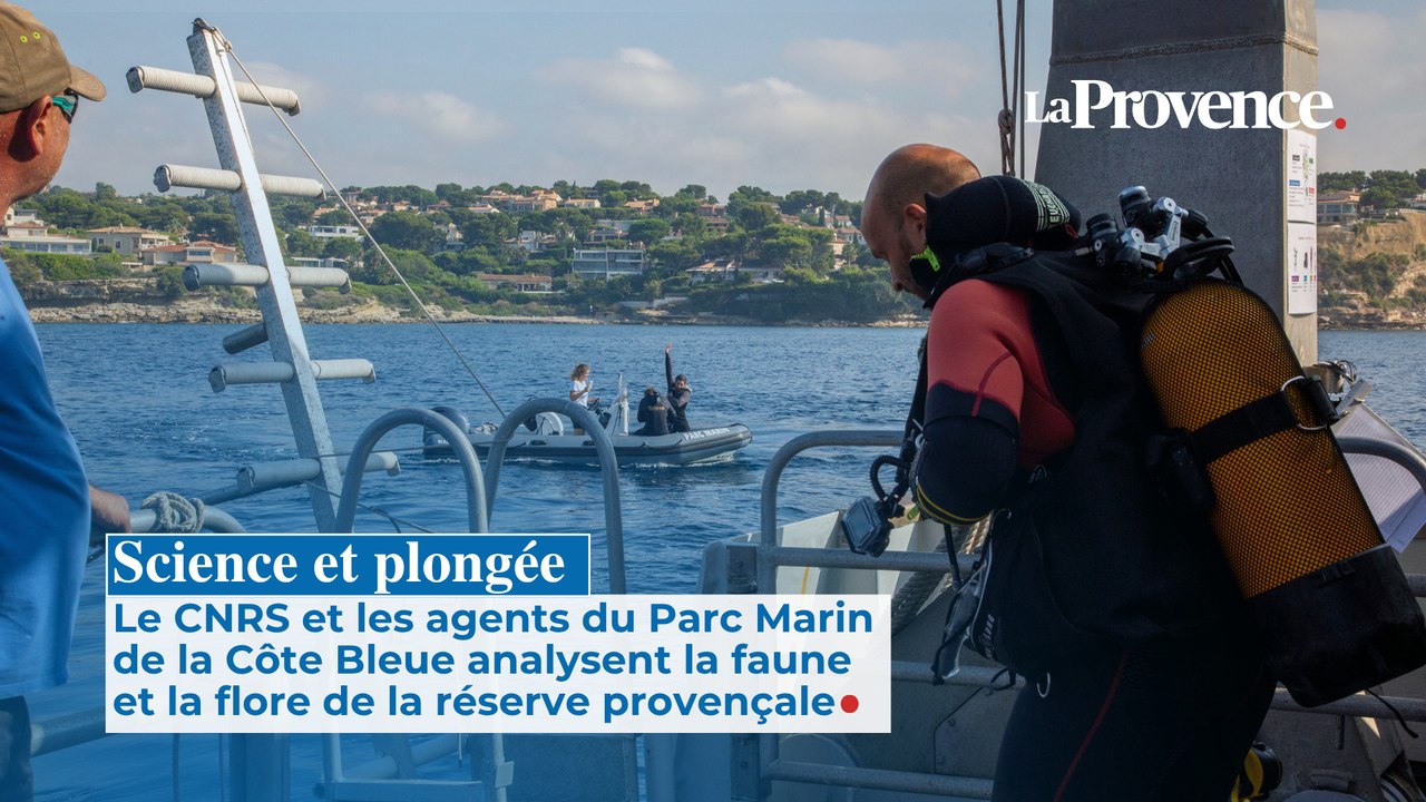 À Carry-le-Rouet, la science sous l'eau