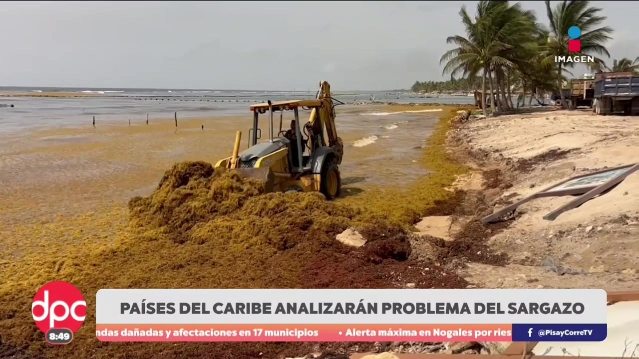 Toneladas de sargazo invaden playas mexicanas | De Pisa y Corre con Paola Rojas