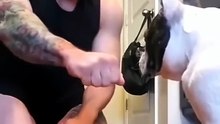 #funny_pets_animals_funny