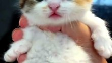 Cuteness Maximum 😍😍😍