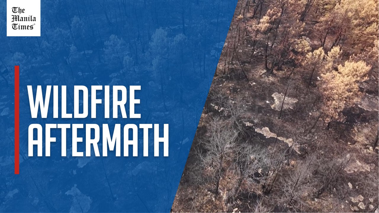 Aerial images show aftermath of wildfire near Paris