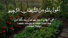Islam s power