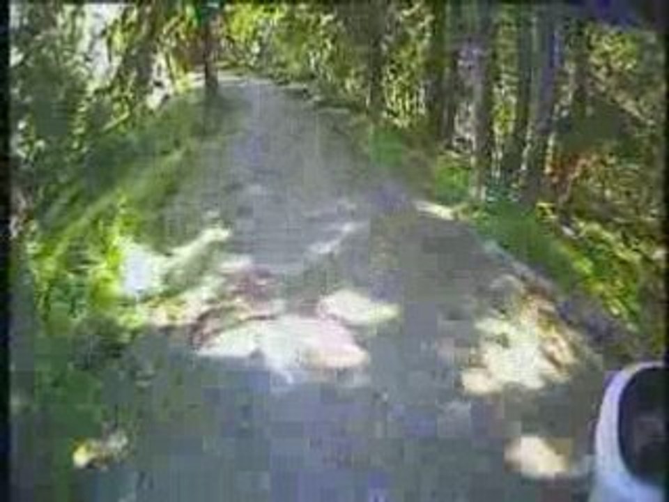 Freebike VTT des 3 Vallées été 2008