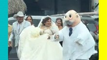 Doctor Simi sorprende al formar parte de un cortejo nupcial y se vuelve viral