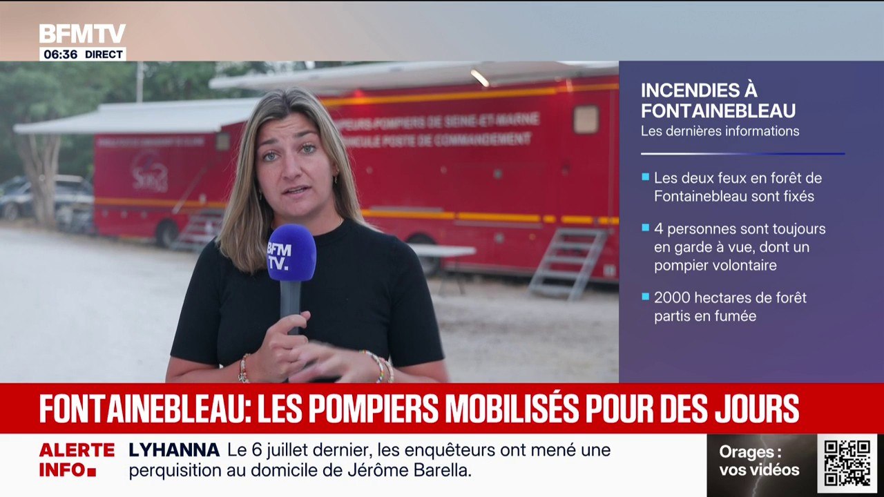 Incendies: les deux feux de la forêt de Fontainebleau sont "fixés", mais pas encore éteints