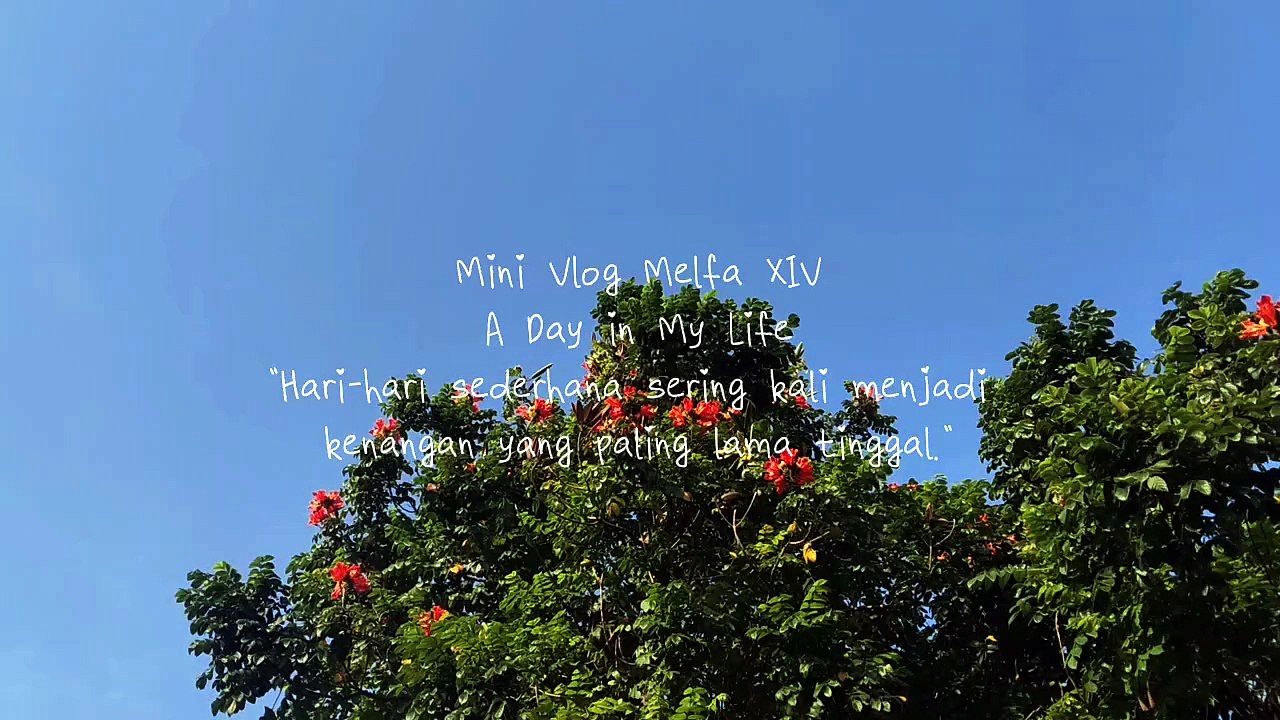 Mini Vlog "A Day In My Life" l