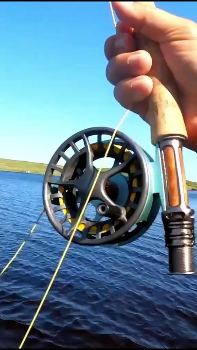 Ox Mountains : premier poisson en un temps record !