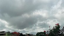 Rotina