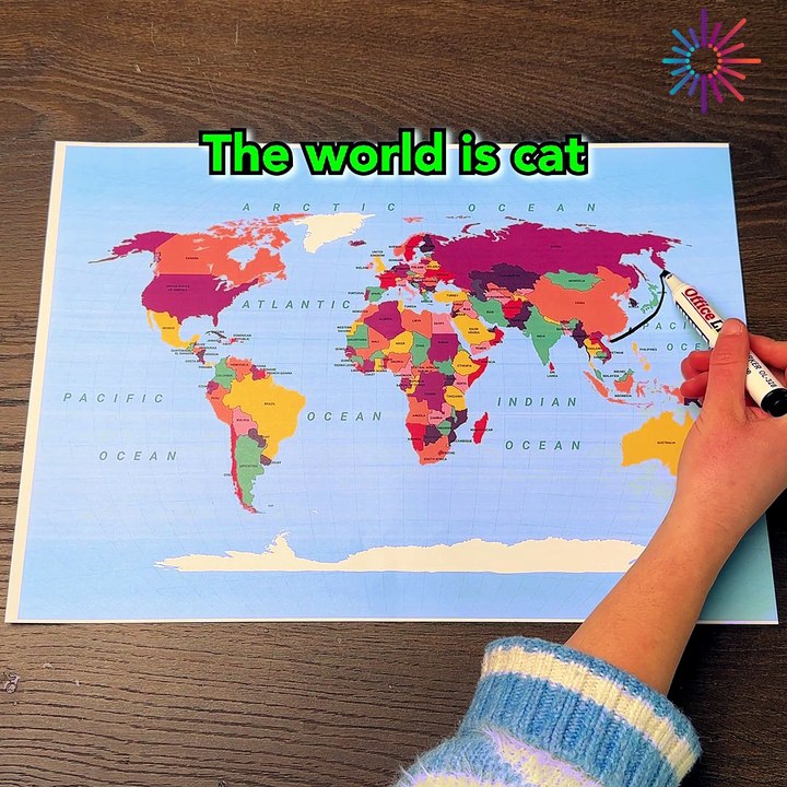 Forget continents, we have a catinent! 🌍🐾