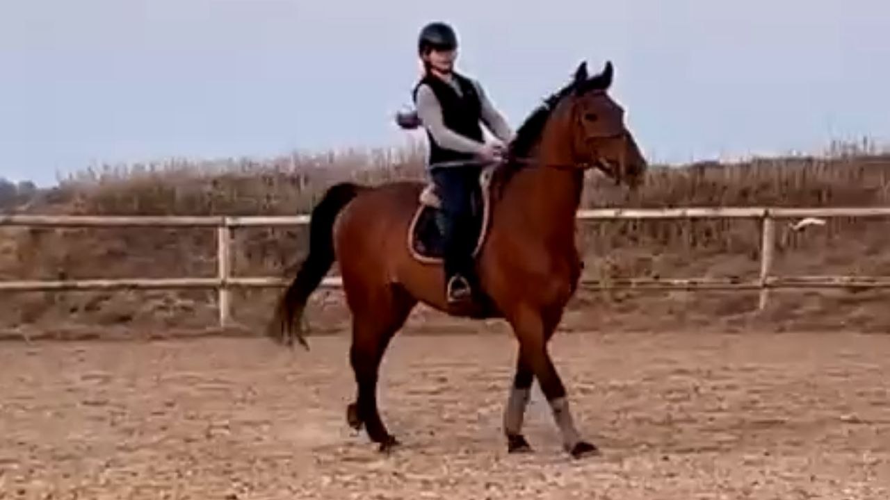Rider Falls Off Horse After Clearing An Obstacle