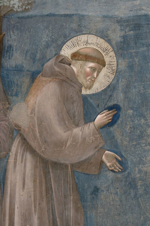 LFF2026_San Francesco 800, per una Rivoluzione dello Sguardo