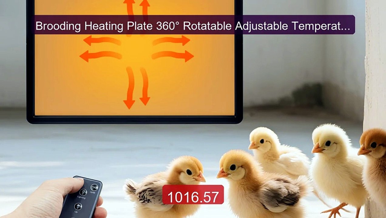 Brooding Heating Plate 360° Rotatable Adjustable Temperature Lighti... -- Top Rated 2026 | Buy Now!