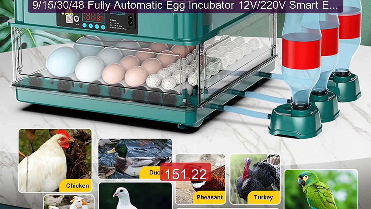 9/15/30/48 Fully Automatic Egg Incubator 12V/220V Smart Egg Tu... -- Best Buy 2026 | Great Quality!