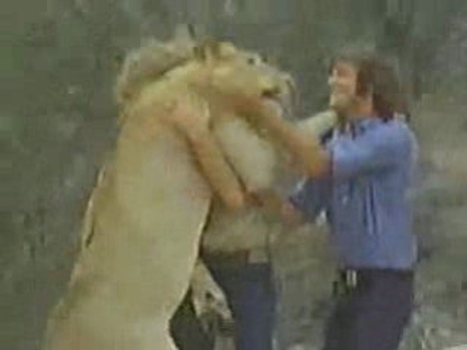 Lionet anciens maitres(un an à passé ils se retrouvent...)