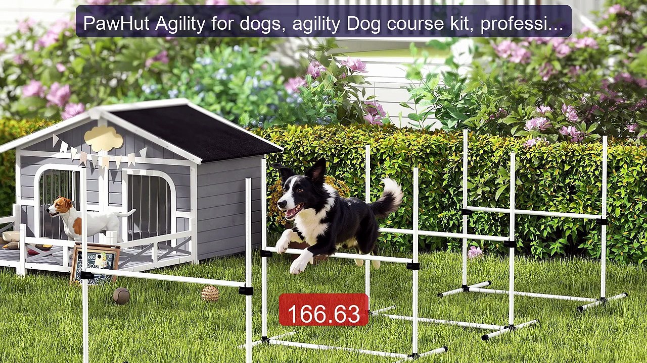 PawHut Agility for dogs, agility Dog course kit, professional ... -- Best Buy 2026 | Great Quality!
