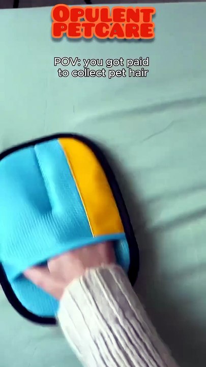 Pet Hair Removal Mitt 😲