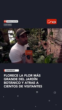 La flor más grande del Jardín Botánico de Santa Cruz ya floreció y se ha convertido en uno de los principales atractivos durante la última semana de vacaciones invernales.