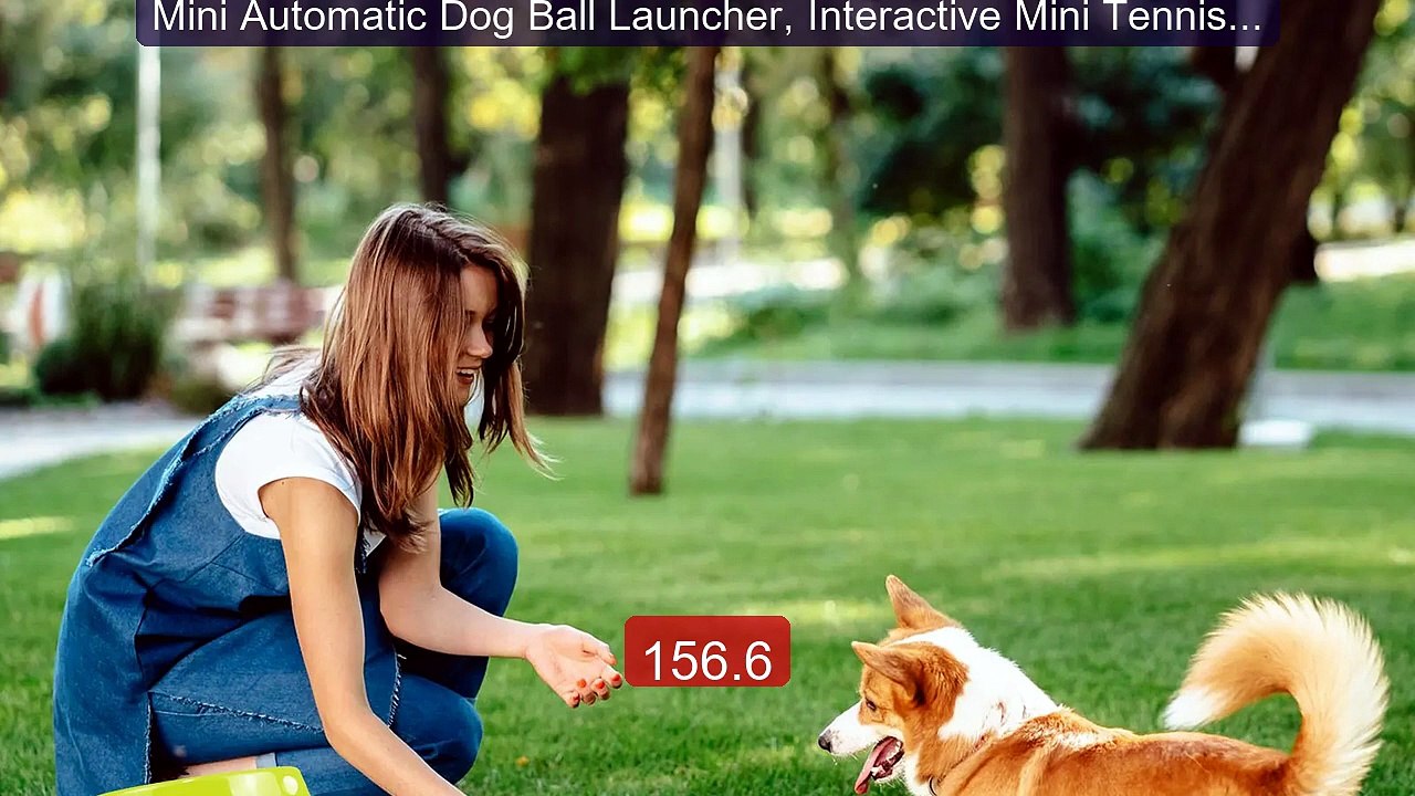 Mini Automatic Dog Ball Launcher, Interactive Mini Tennis Throwing... -- Best Deal 2026 | Shop Now!