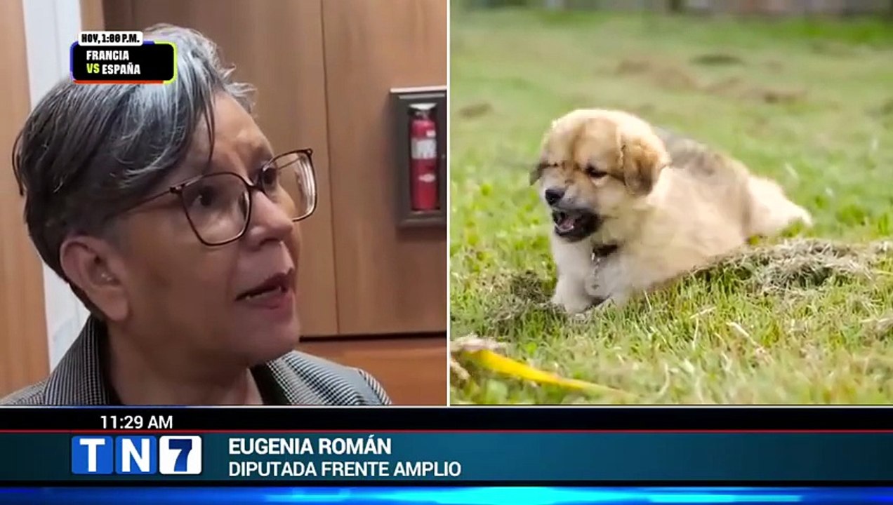 tn7-frente-amplio-presenta-reforma-integral-a-ley-de-bienestar-animal-140726 [Full Movie]
