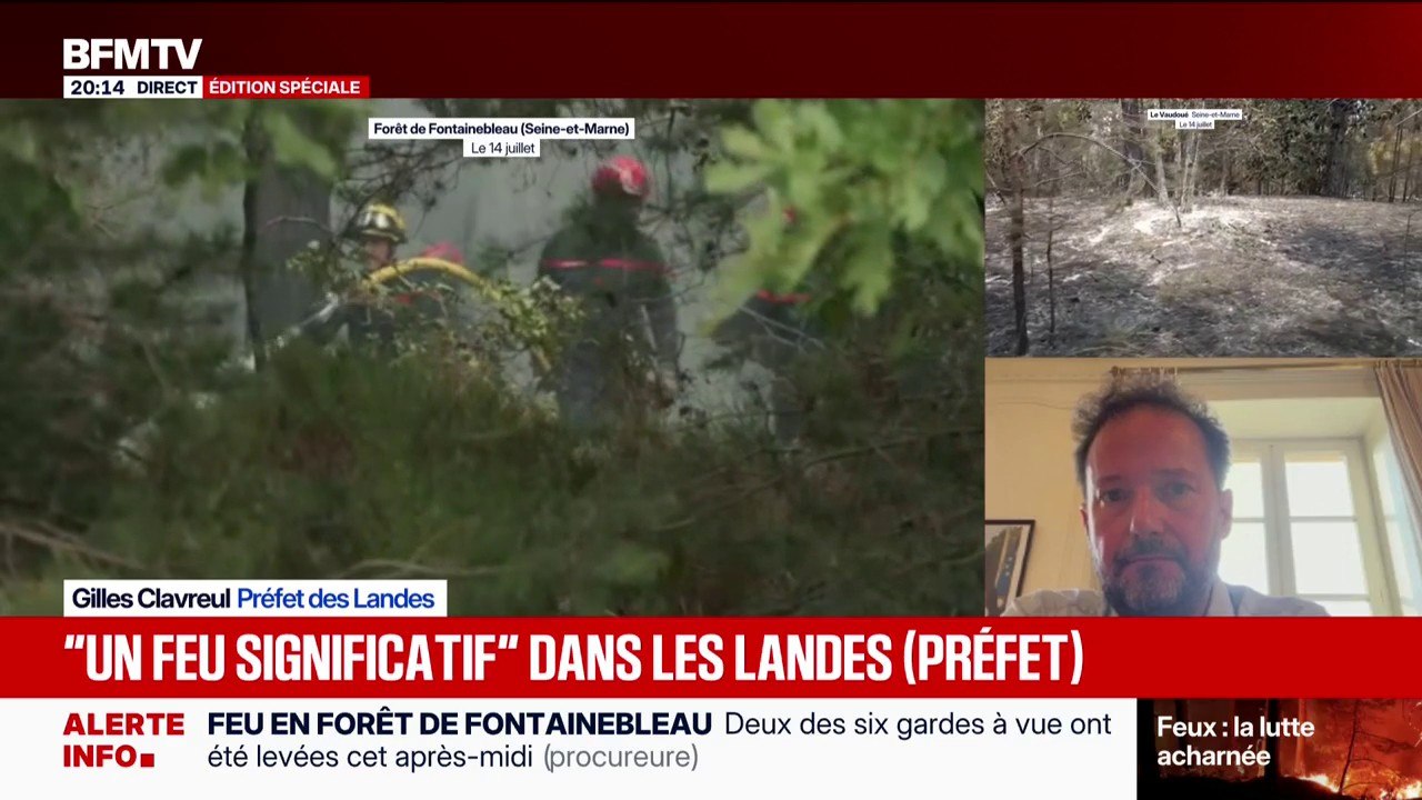 Feu dans les Landes: "On n'a pas d'inquiétude pour les populations", explique le préfet des Landes