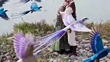 Taste of the Wild - FULL MOVIES ENGLISH SUB