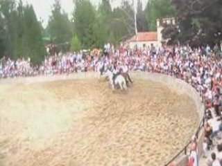 29-06-2008 um dia no mar de areia 6