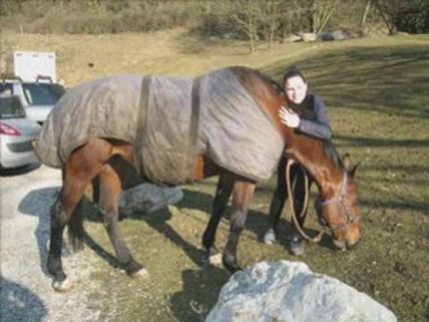 BILAN de ma 1ère année d'EQUITATION