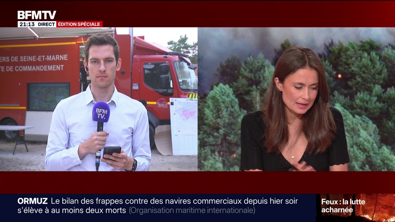 Incendies à Fontainebleau: les deux feux désormais "fixés", la crainte de reprises de feu toujours présente