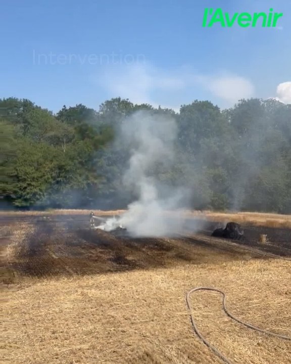 Incendie dans un champ à Mohiville