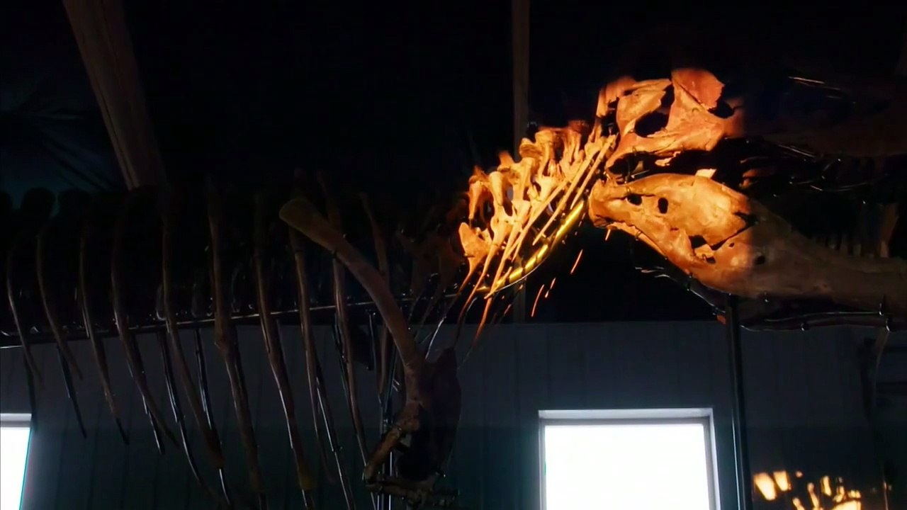 Un esqueleto de T. Rex se vende por un récord de 50,1 millones en subasta en Nueva York