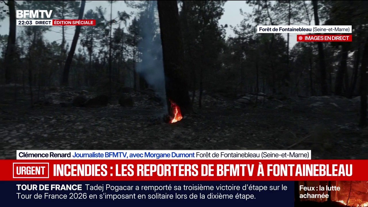 Incendies de Fontainebleau: malgré la nuit et un feu fixé, les pompiers toujours présents sur place pour éviter la reprise de feux