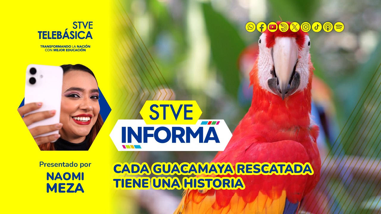 Cuidados especiales Guacamayas: STVE Informa