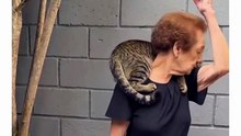 Grandma's little step
