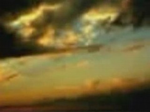 Георги Христов - Следи