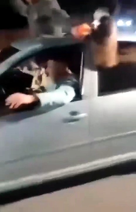 Mendoza: sacó a “pasear” en auto a una llama por el triunfo de Argentina y lo denunciaron por maltrato animal