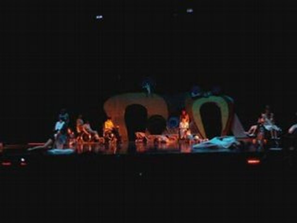 Repetitions du gala 2008 de l'asso "Au nom de la danse" 3