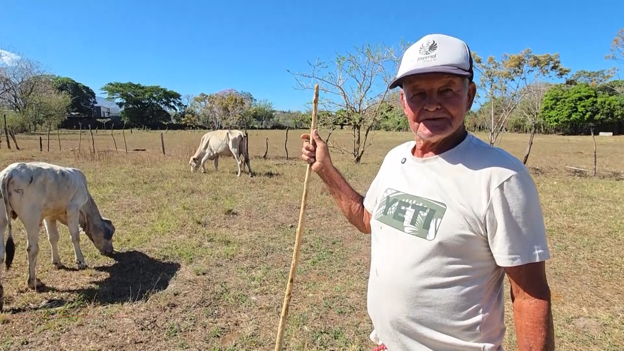 mqn-don-miguel-rojas-mantiene-viva-su-pasion-por-el-campo-a-los-83-anos-150726