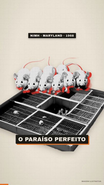 Eles tinham tudo, mas morreram mesmo assim