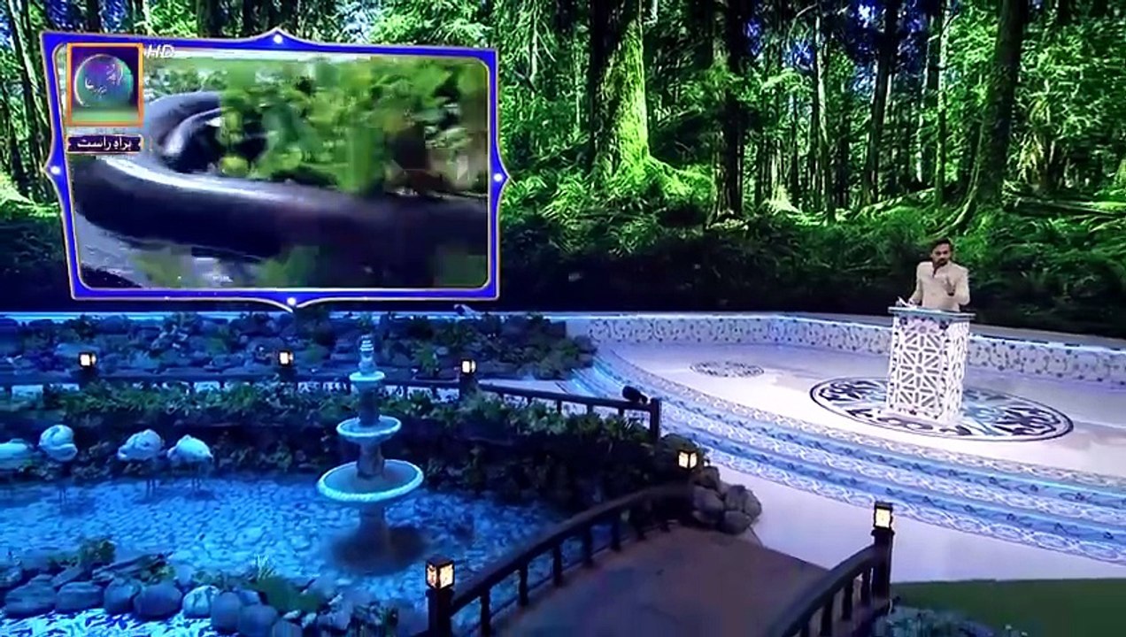 A Trip to Amazon Rainforest 🌴😱🐍🦅 | Quran Aur Science | Waseem Badami | 26 March 2025 | #shaneiftar [Full Movie]