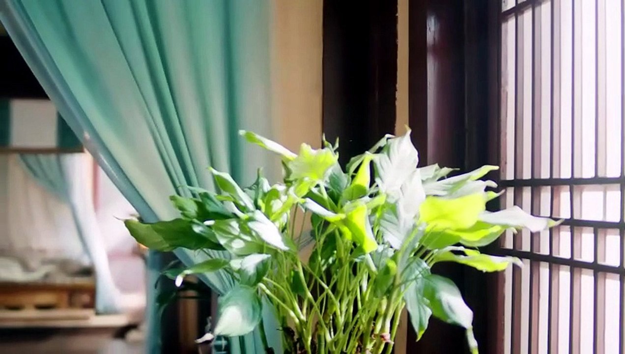[Multi SUB] EP11 Meet You at the Blossom -Huaien Fights for Life, Secures Lifesaving Flower  💗💗[TOP BL DRAMA 2026] 💗 💗 [Full Movie]