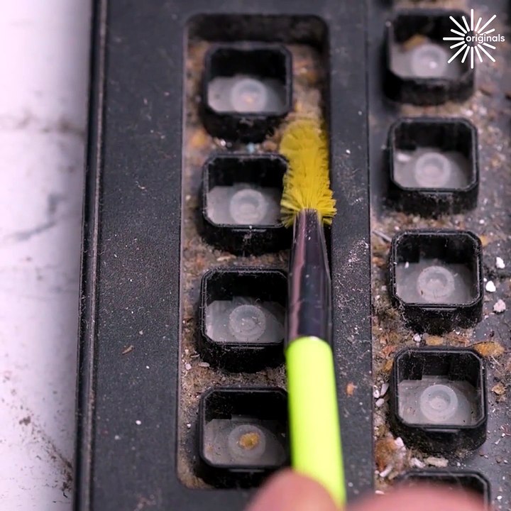 Let's clean this dirty keyboard together!