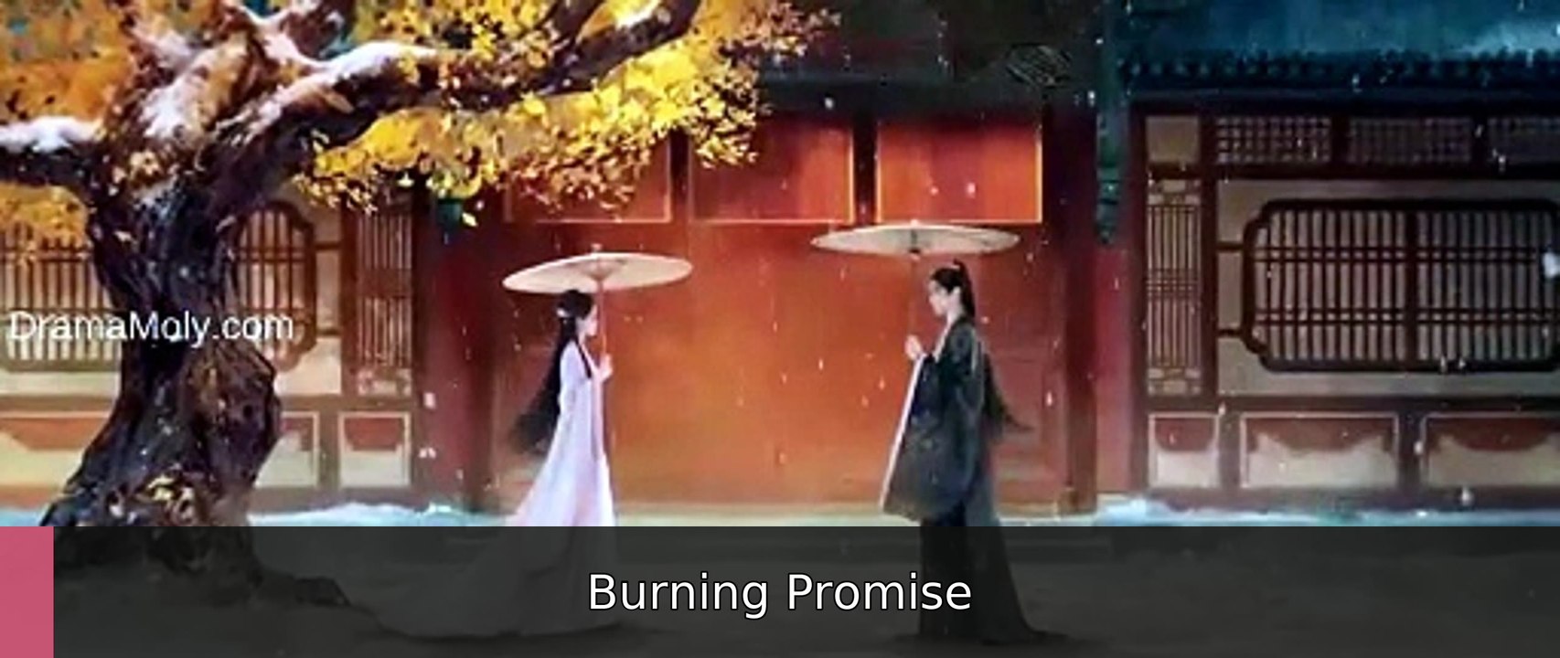 Blossoms of Power Ep 14 Burning Promise