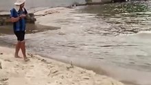 Não acredita que peguei peixe aqui no Centro #pescariaurbana #fishing #rj