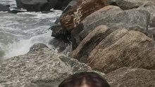 TÁ CERTO ISSO? 😂 A insistência do pescador nas pedras! 🎣