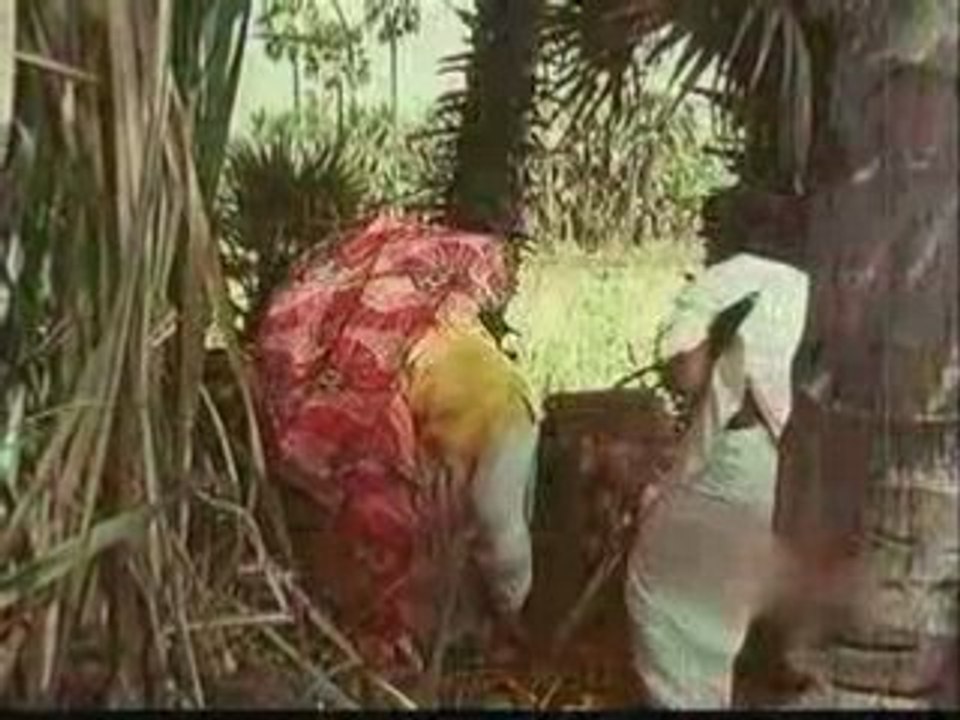 Erikarai Pongatrae