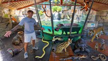 Recorriendo un zoológico lleno de animales increíbles en Texas