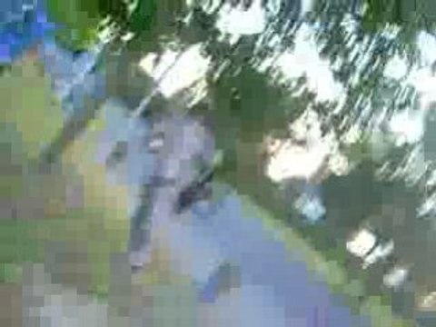 Rémy gaillard ouf Comique les guignoles du 61 lol mc donald