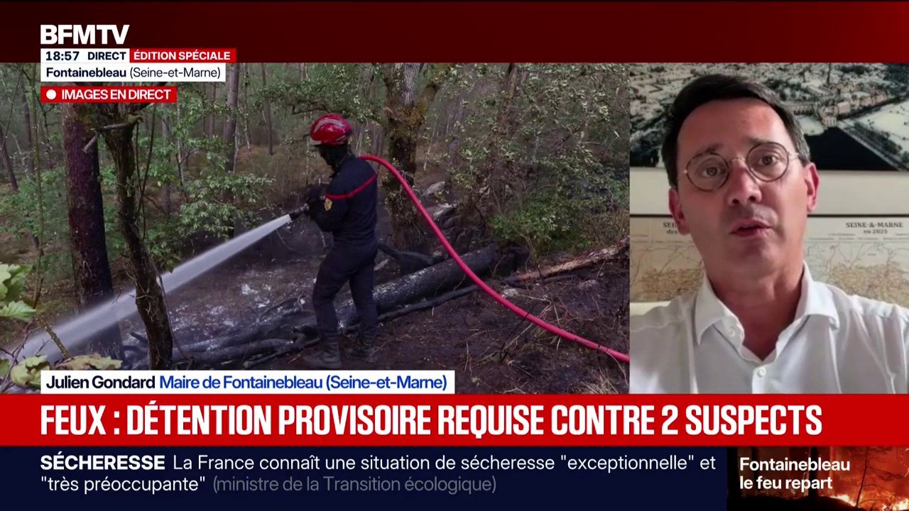 Incendies de Fontainebleau: "Le pic de la crise...